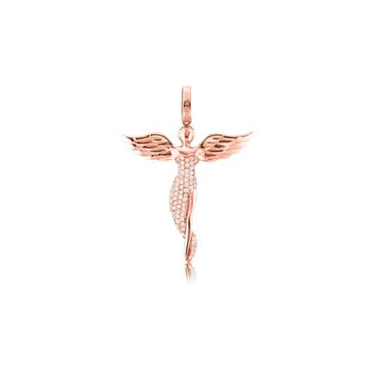 ERP-ANGEL-SR - 
