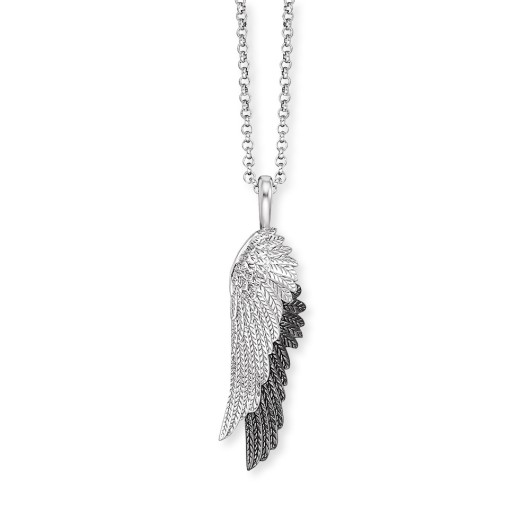 ERN-WINGDUO-BIB - 