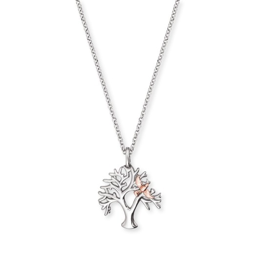 ERN-TREE-BIR - 