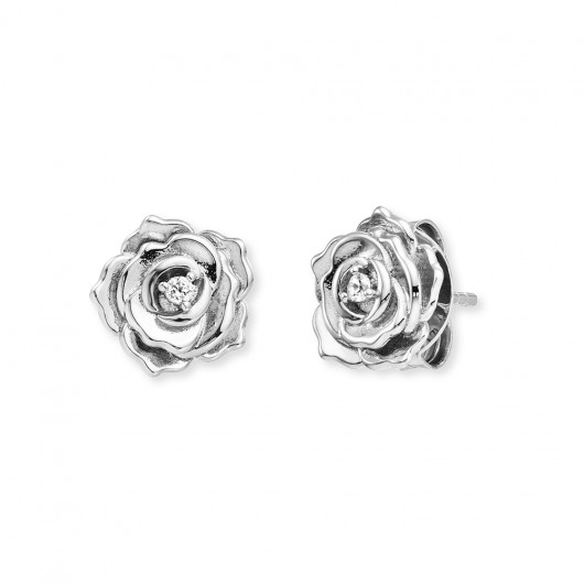 ERE-ROSE-ZI-ST - 