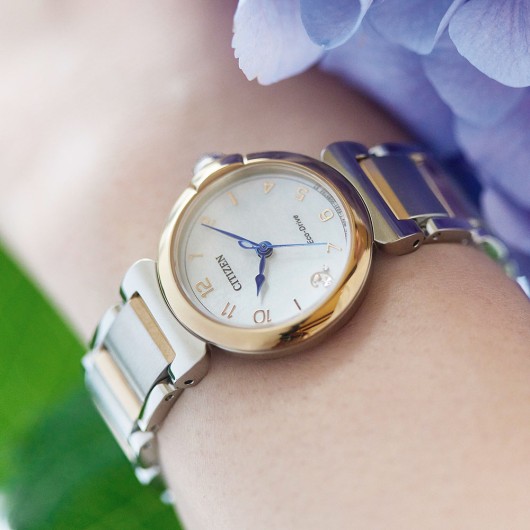 EM1136-87D - Citizen L